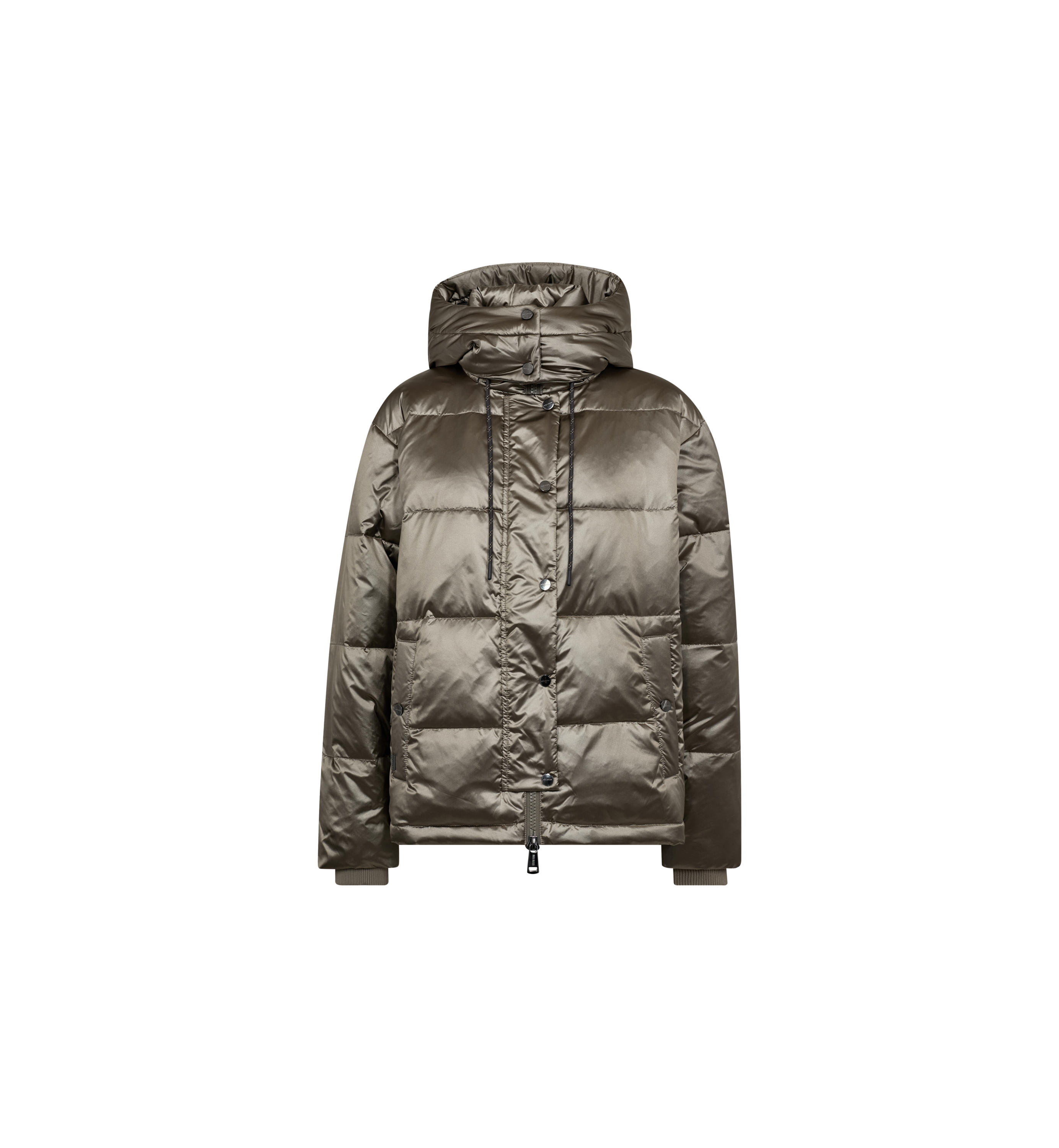 Packshot / Brindle / Front